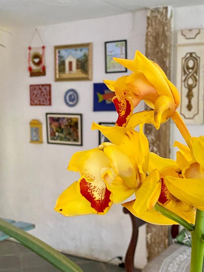 Hostel Dona Generoza Araquari Dış mekan fotoğraf